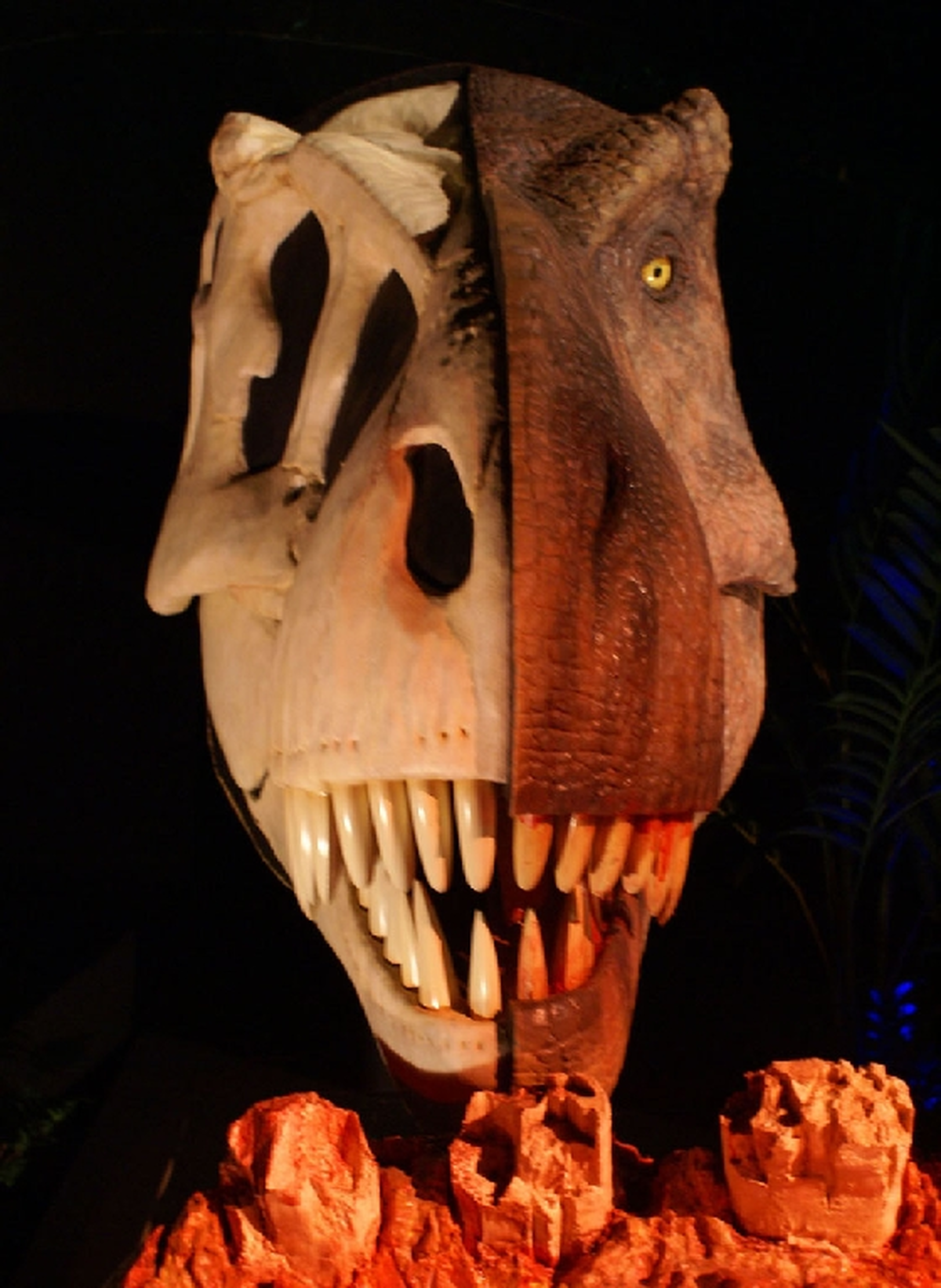 Bioscope : La vie des dinosaures - Saison 2007