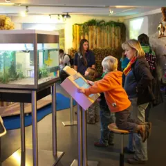 La Biosphärenhaus et son sentier des cimes