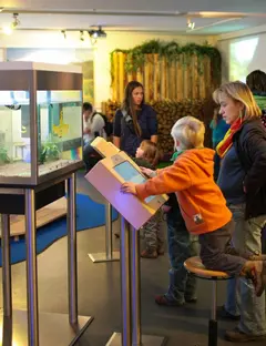 La Biosphärenhaus et son sentier des cimes