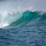 Bisca Moussu Contest