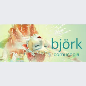 Björk en concert à Nantes