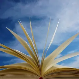 Blablabook