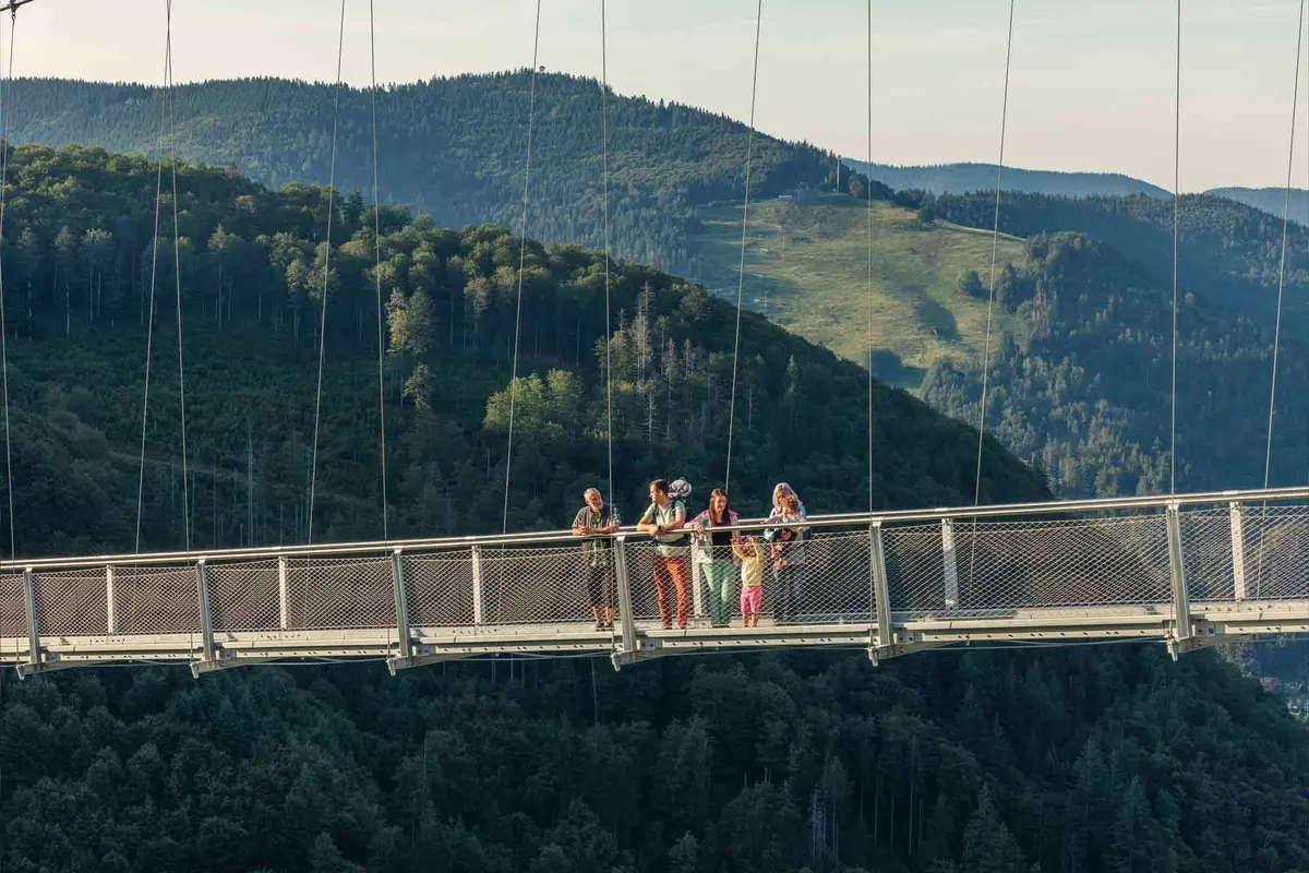 Vous surplombez la Forêt-Noire !