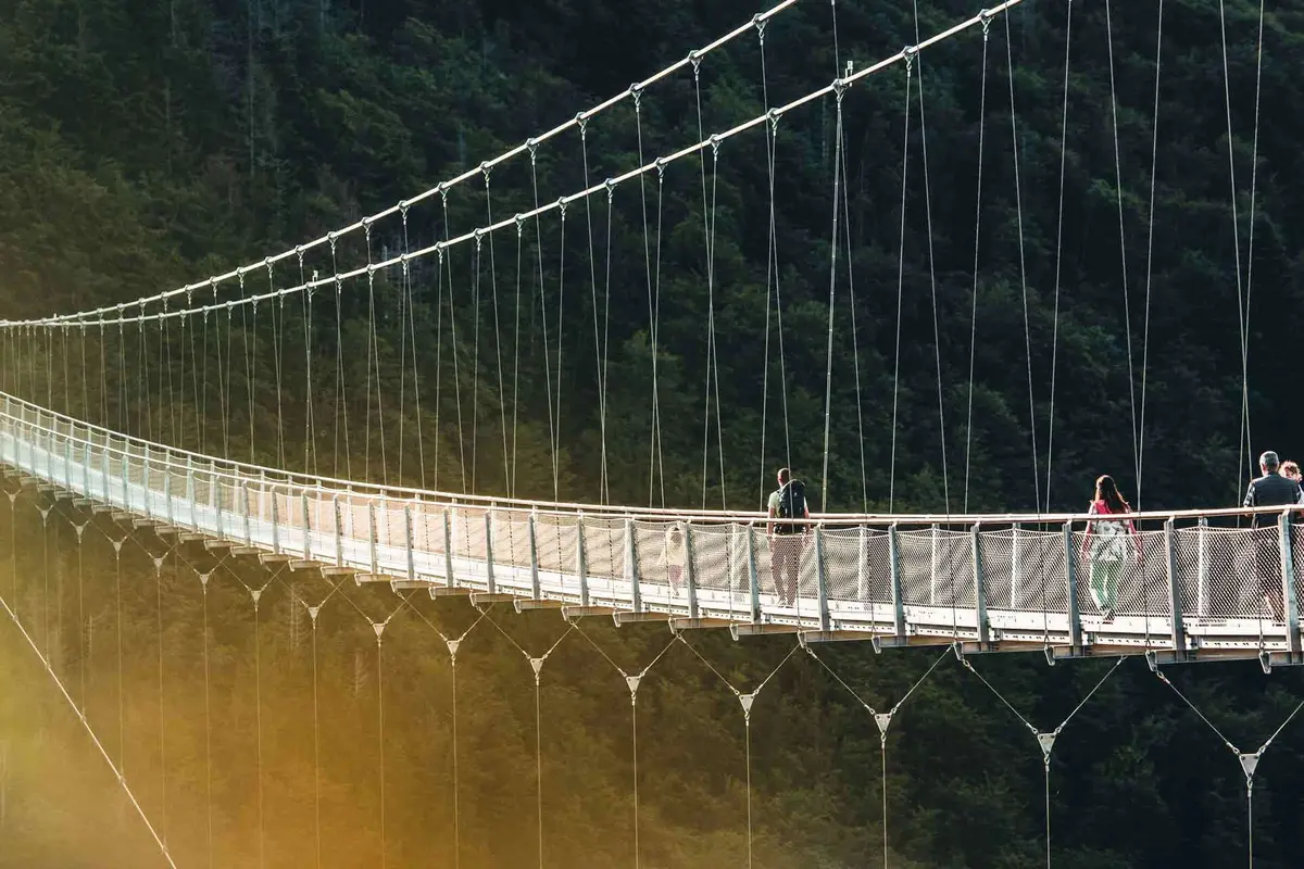 BLACKFORESTLINE, le pont suspendu au coeur de la Forêt-Noire