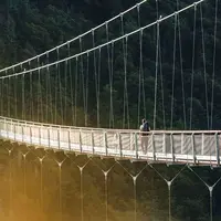 BLACKFORESTLINE, le pont suspendu au coeur de la Forêt-Noire DR