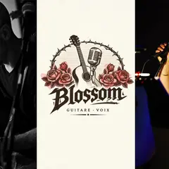 Blossom guitare voix en concert