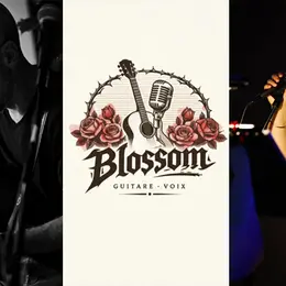 Blossom guitare voix en concert
