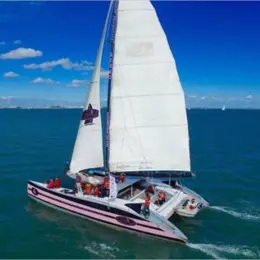 7 idées sorties pour ce week-end à Vannes du 28 au 30 août 2026