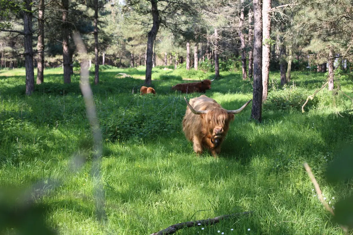 Body Nature - Visitez l'entreprise