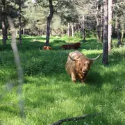 Body Nature - Visitez l'entreprise