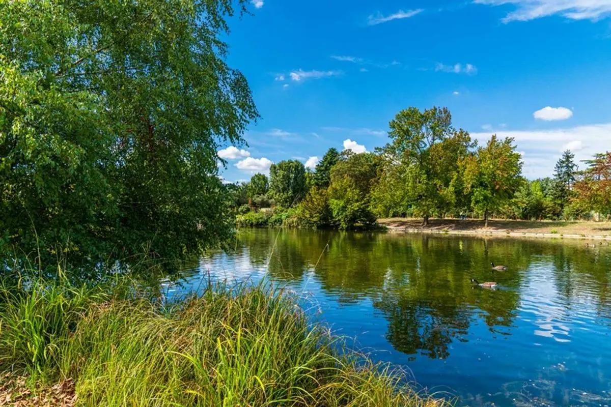 Bois de Boulogne