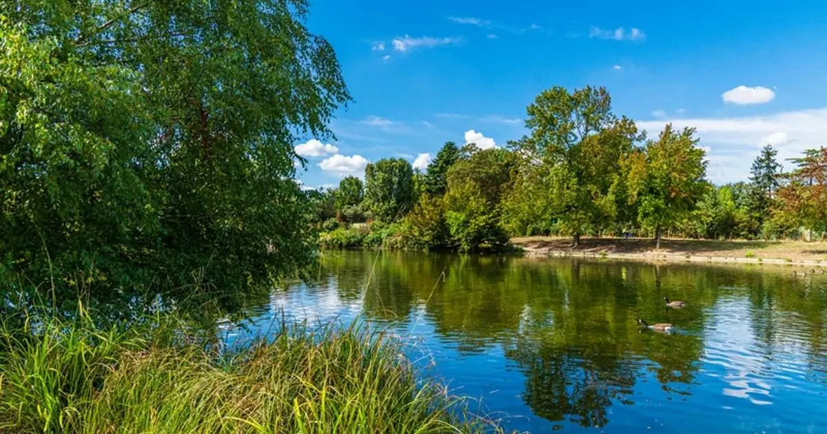 Bois de Boulogne