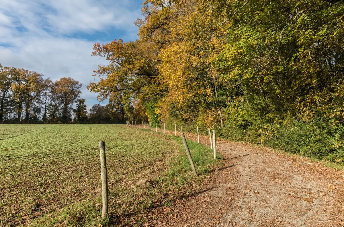 Bois de la Desnerie