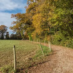 Bois de la Desnerie