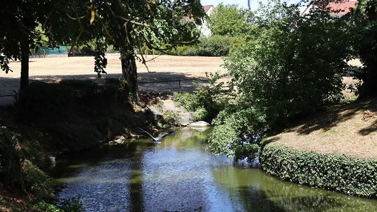 Bois du Roy - Saint-Apollinaire