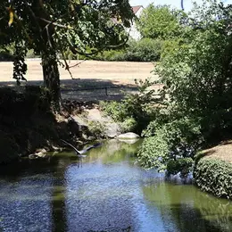 Bois du Roy - Saint-Apollinaire