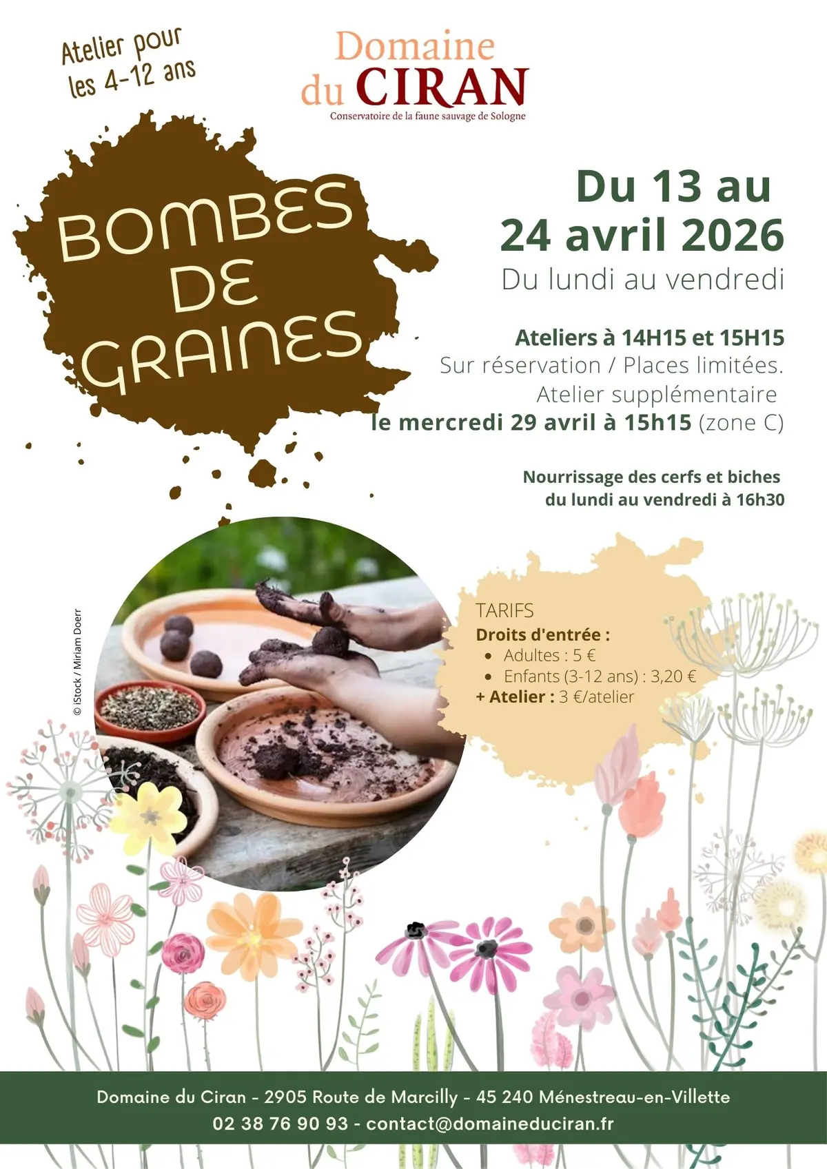 Bombes de graines