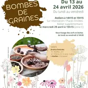 Bombes de graines