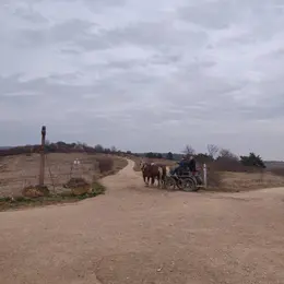 Découvrir la colline du Bollenberg 