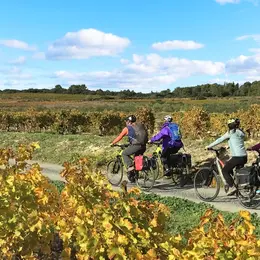 Boucle Patrimoniale Du Canal Du Midi – Capestang