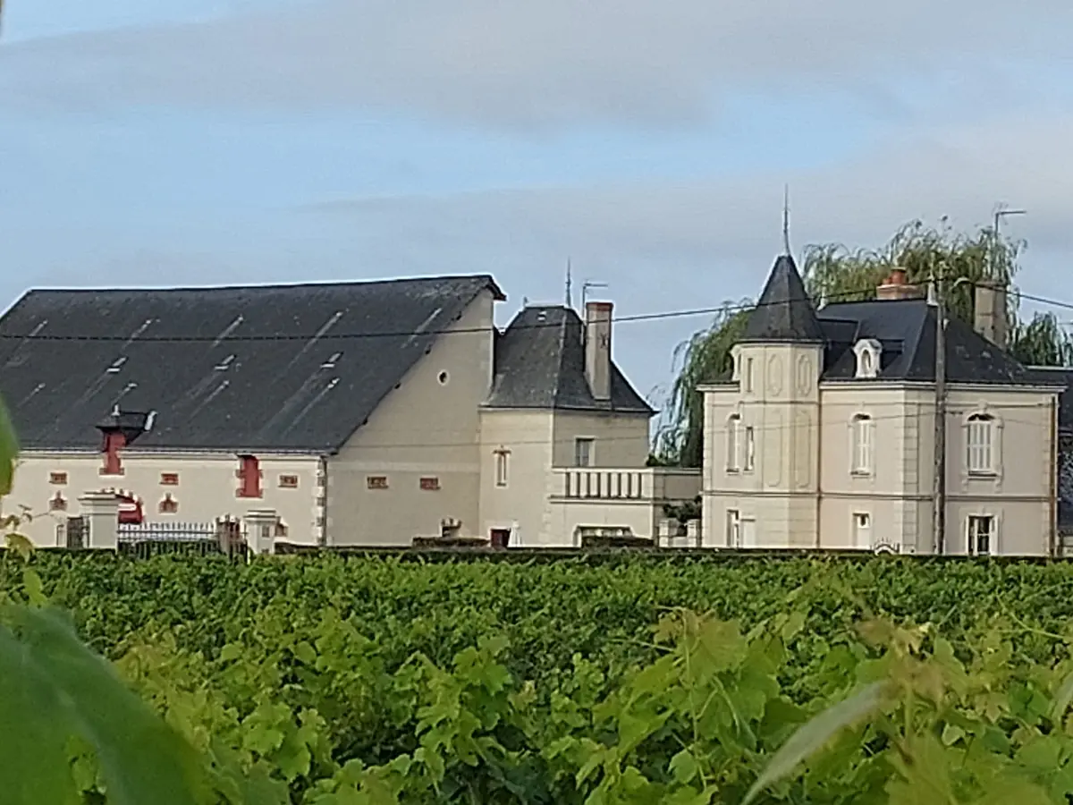 Bourgueil et entrecôte au Domaine des Mailloches