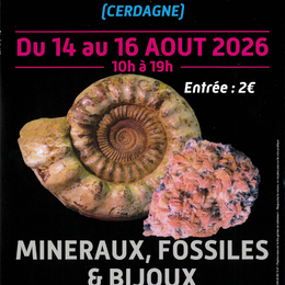Bourse Aux Mineraux, Fossiles & Bijoux