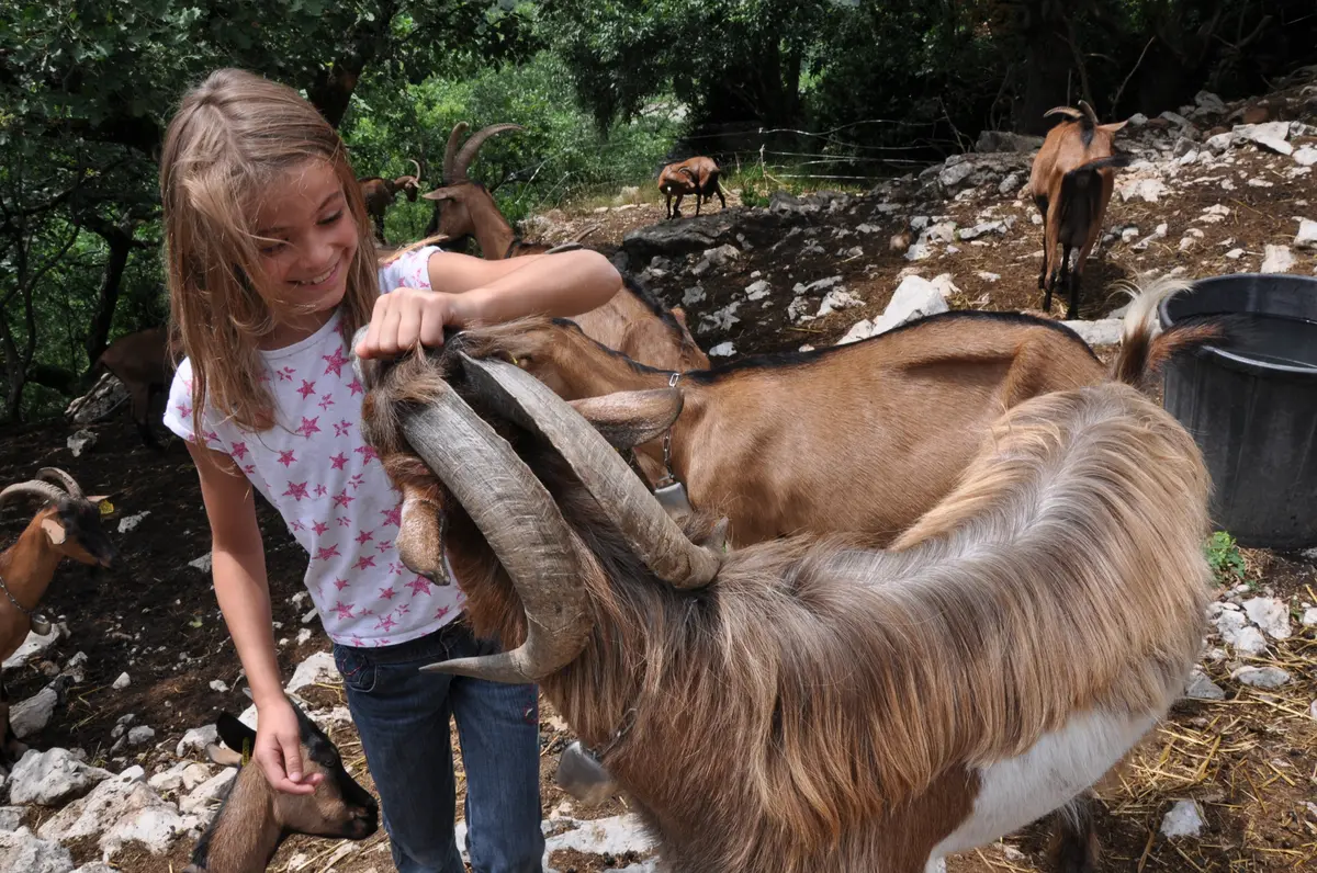 Bourse Aux Plants 2026