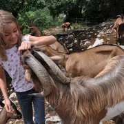 Bourse Aux Plants 2026