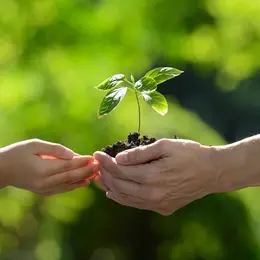 Bourse d'échanges de plantes