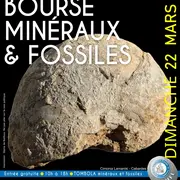 Bourse Minéraux Et Fossiles