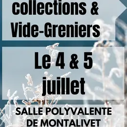 Bourse toutes collections et vide-greniers