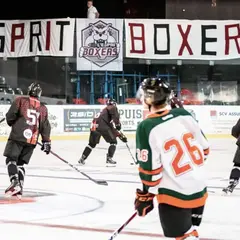 Boxers Hockey sur Glace