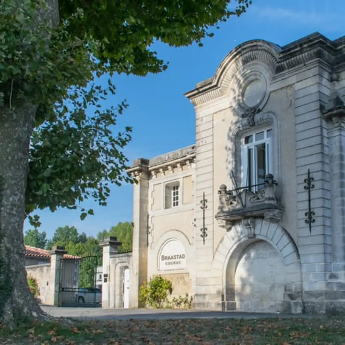 Braastad cognac : Discovery visit