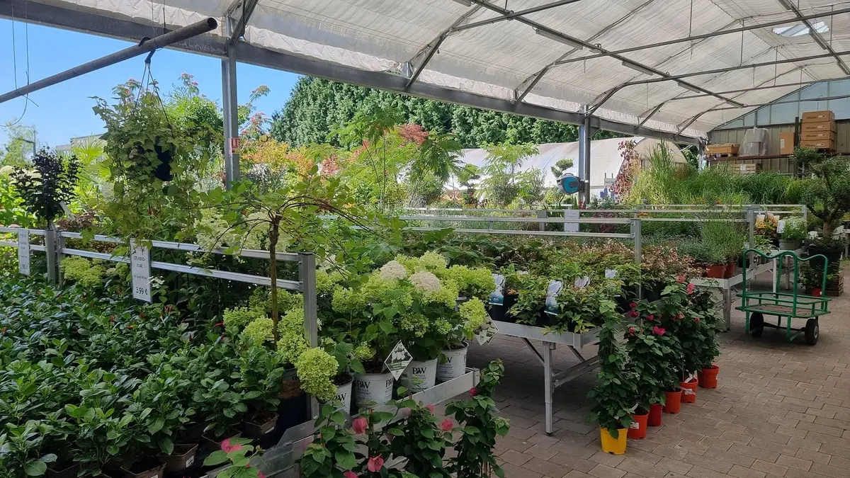 De nombreuses plantes pour embellir vos extérieurs