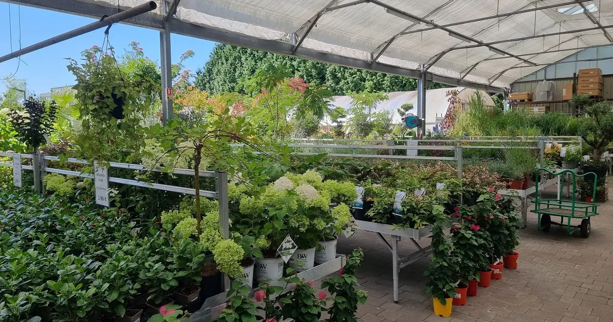 Braderie dans vos jardineries des 3 Frontières à Sierentz, de l’Ill à — free download