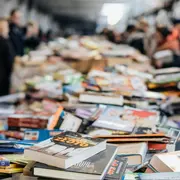 Braderie des livres documentaires et régionaux