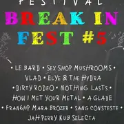 Break in fest # 5
