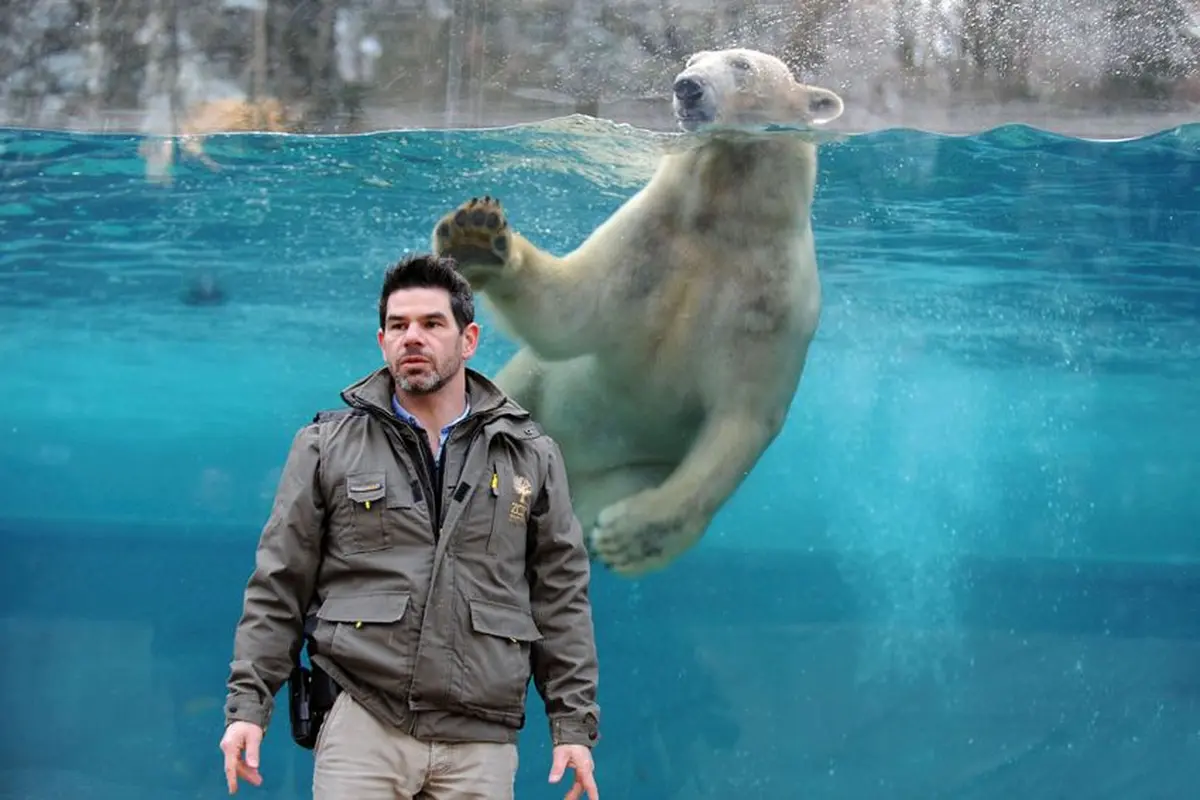 Brice Lefaux, devant le bassin des ours blancs au Zoo de Mulhouse