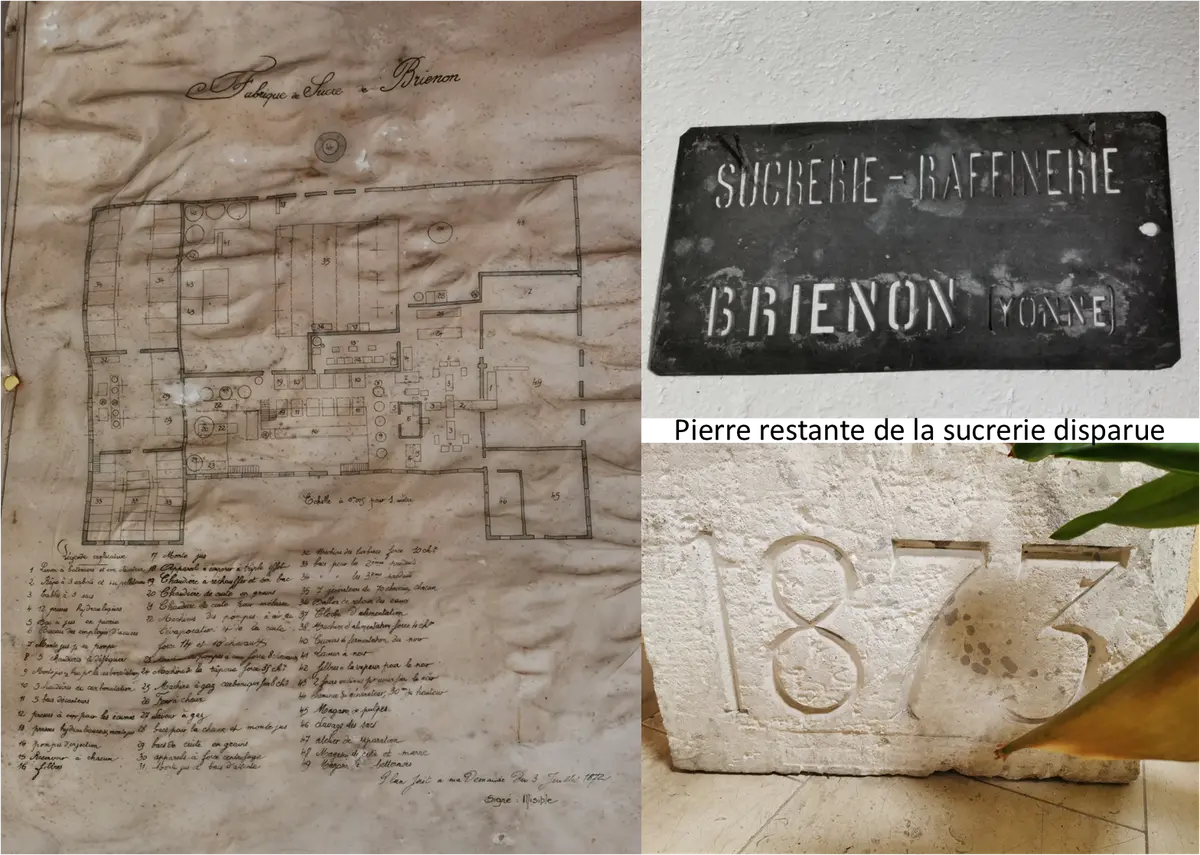 Brienon, terre de sucre