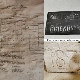 Brienon, terre de sucre