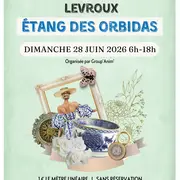Brocante à Levroux