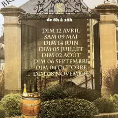 Brocante de Sancerre