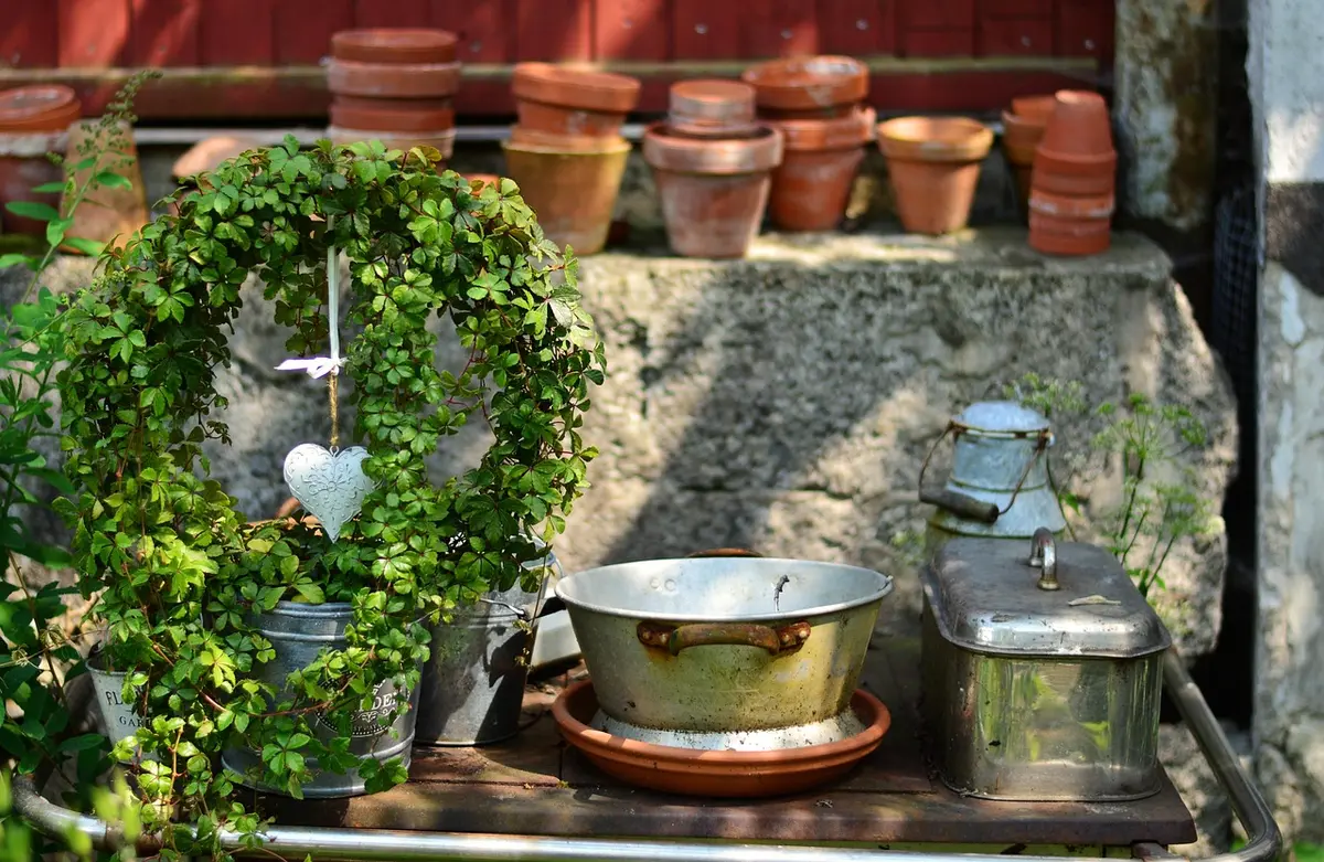 Brocante et Plantes
