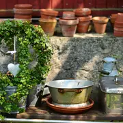 Brocante et Plantes