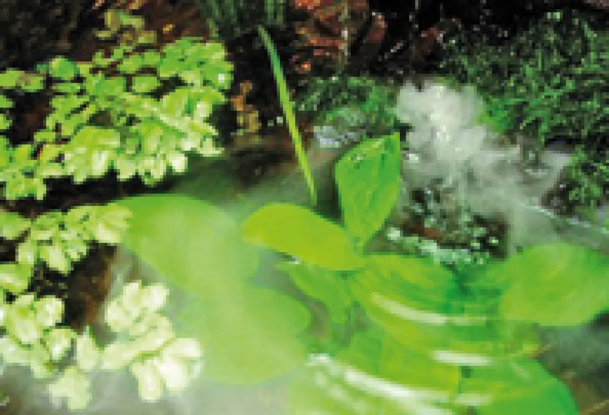 Brumisateur extérieur MystMaker