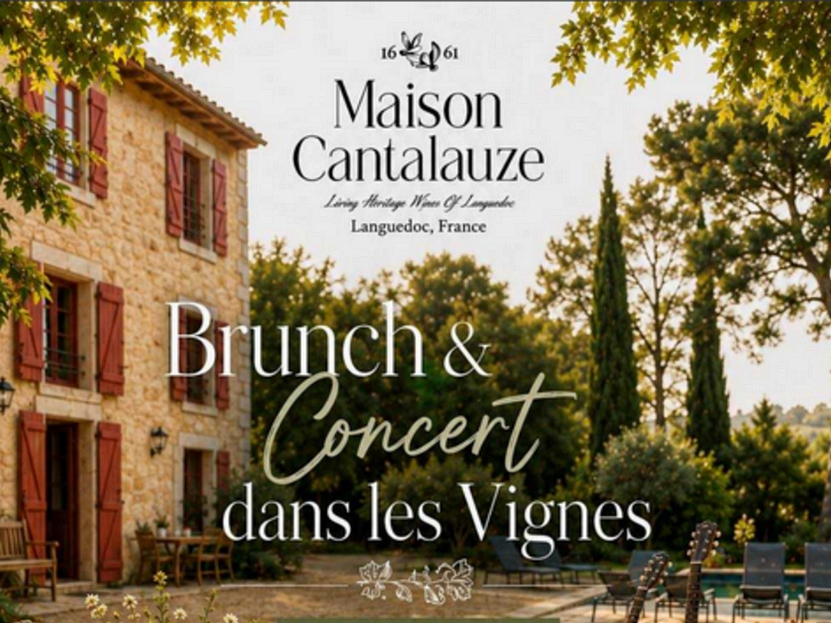 Brunch & Concert Dans Les Vignes