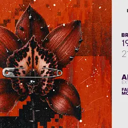 Brut / Anika Kunst, Fadezx & Mollo Mollo