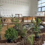 Büra Fascht, Fête Paysanne à Réguisheim