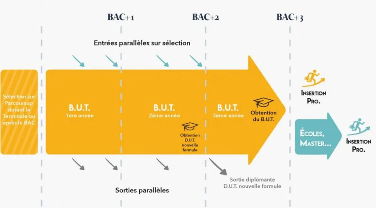 Mieux comprendre les B.U.T.