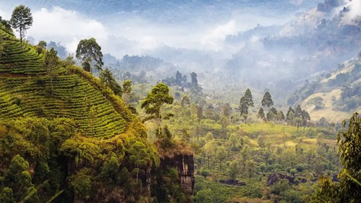 C'est juste à côté... 